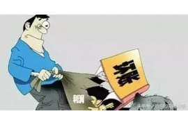 宿城为什么选择专业追讨公司来处理您的债务纠纷？